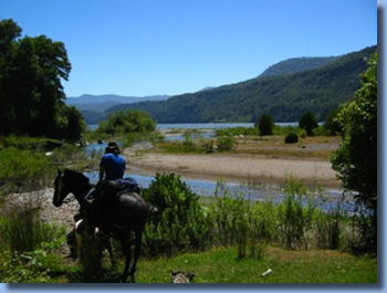 Rider in the delta of Rio Blanco river on a horseback trail ride in NP Huequehue, Chile